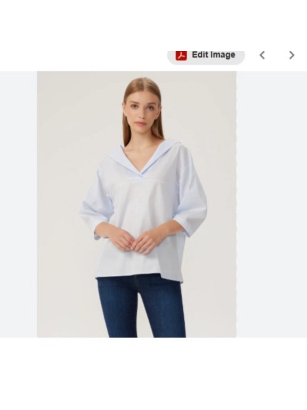 NWT Anthropologie Harshman Oriana Blouse Light Blue Cotton Oversized Top, 2X